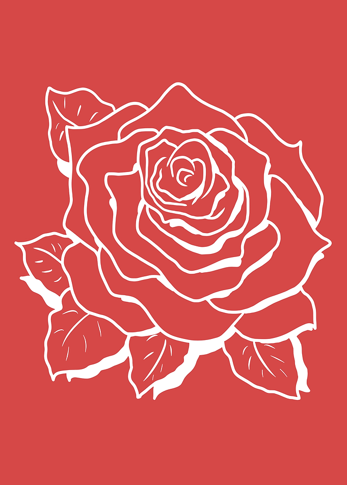 White Rose Outline on Red Background