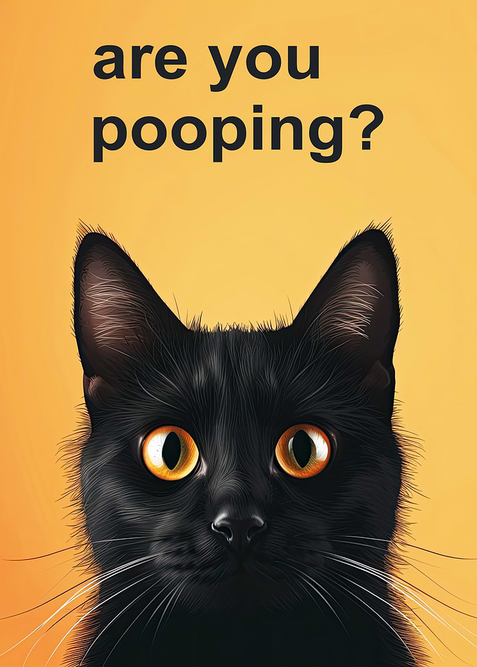 Black Cat - Are You Pooping?