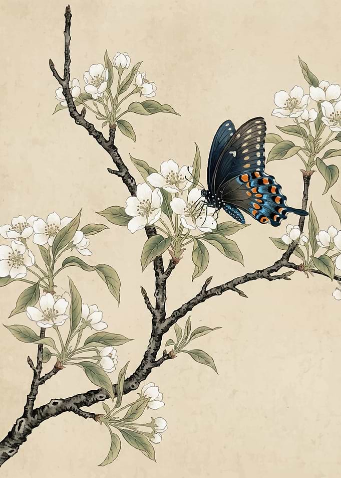 Butterfly on Cherry Blossoms
