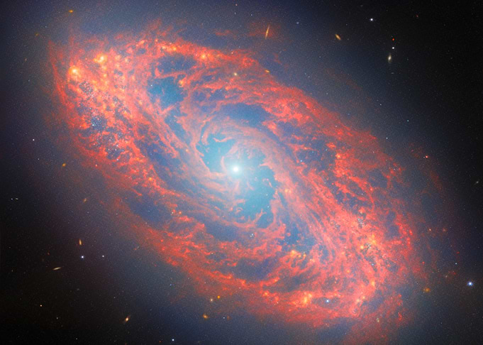 Spiral Galaxy with Red and Blue Hues
