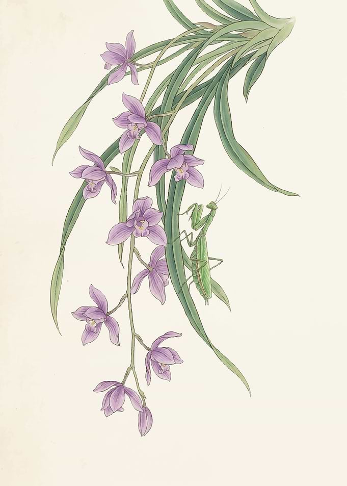 Orchids and Praying Mantis Painting