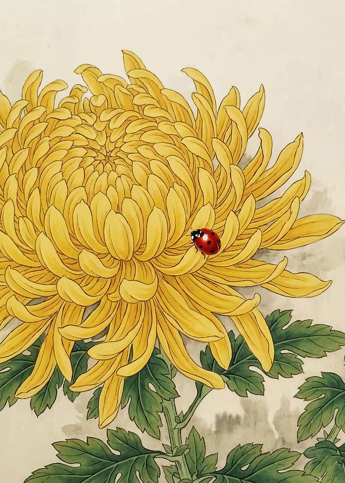 Yellow Chrysanthemum with Ladybug