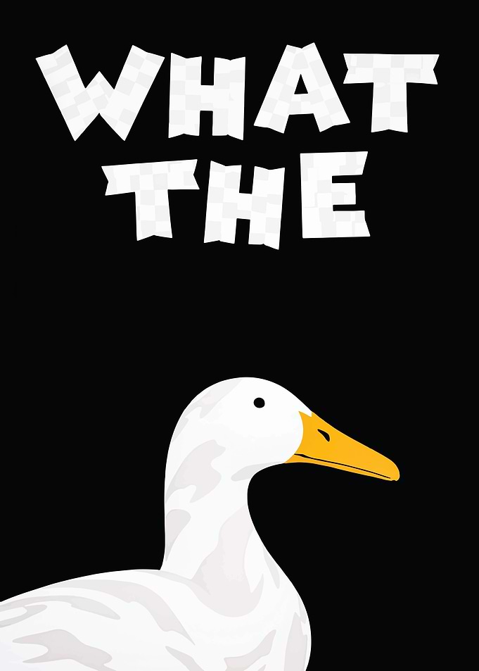 What The Duck Funny Meme
