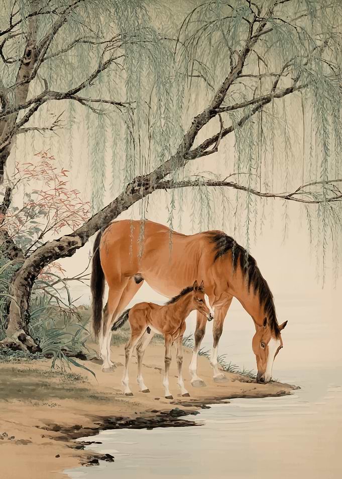 Mother and Foal Drinking Water