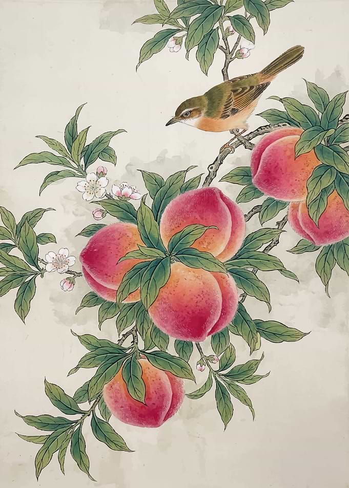 Bird on a Peach Branch with Fruit