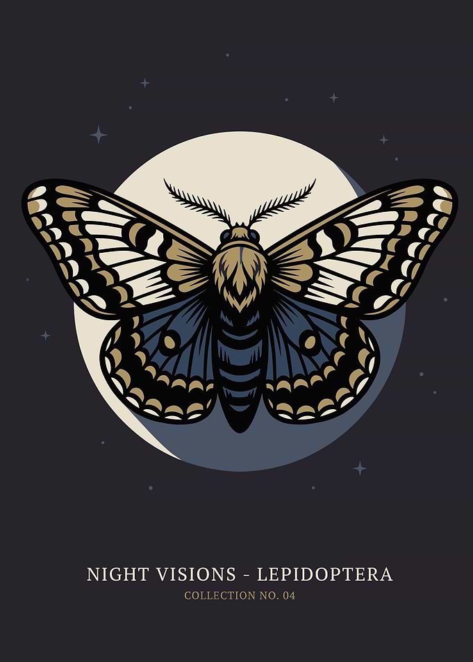 Moth on Moon Illustration