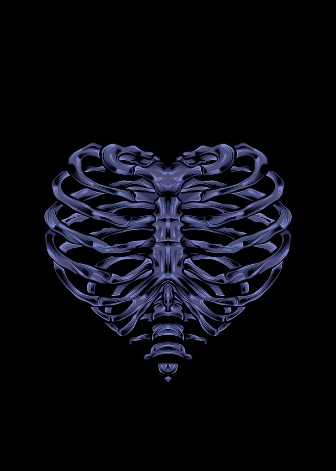 Heart-shaped Ribcage Illustration