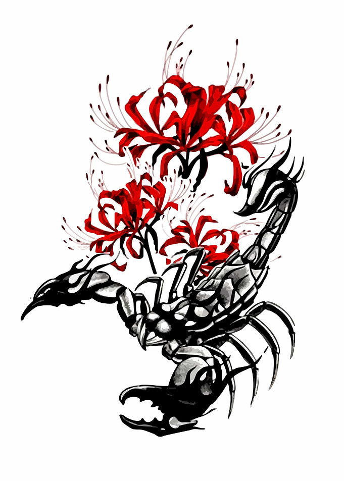 Scorpion and Red Spider Lilies