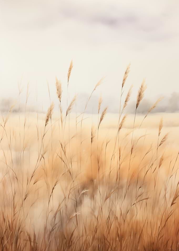 Golden Reeds in Soft Light