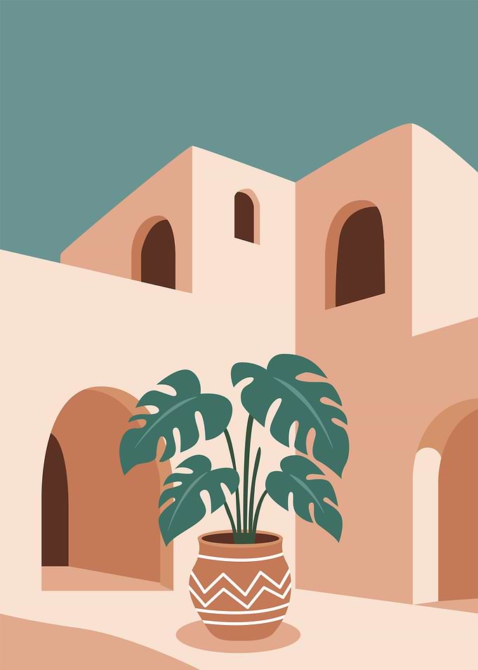 Monstera Plant in Courtyard