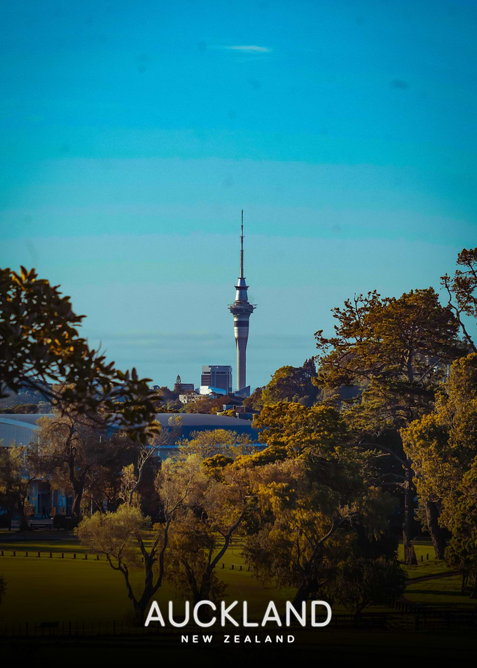 Auckland Sky Tower cityscape