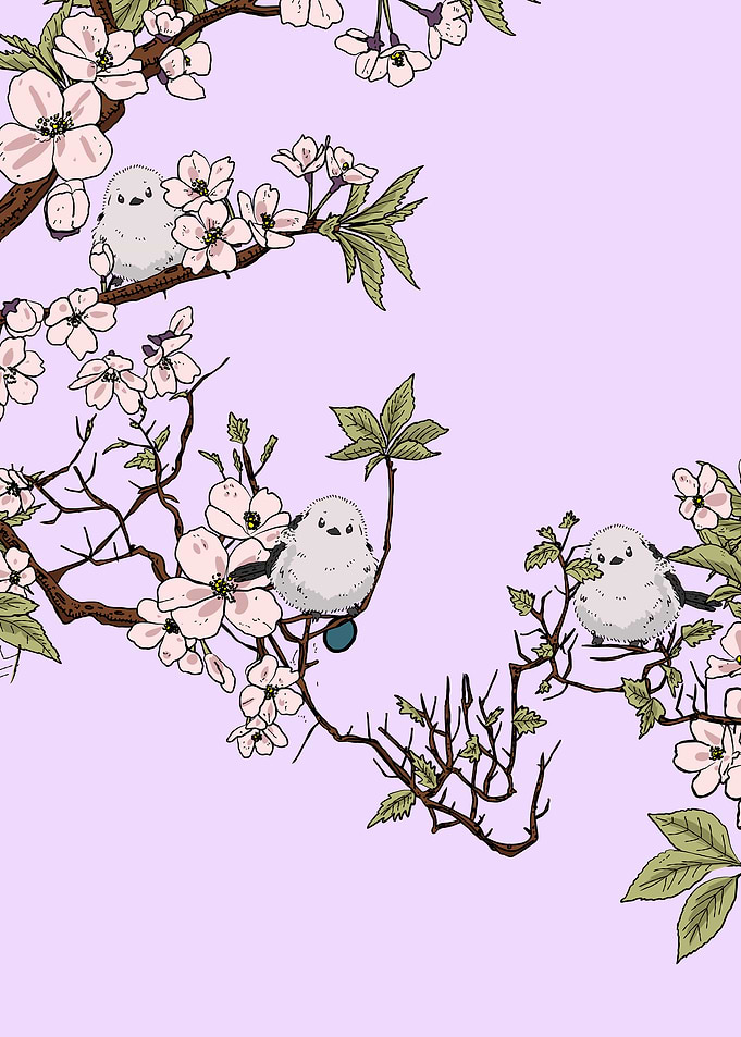 Cute birds on cherry blossom branches