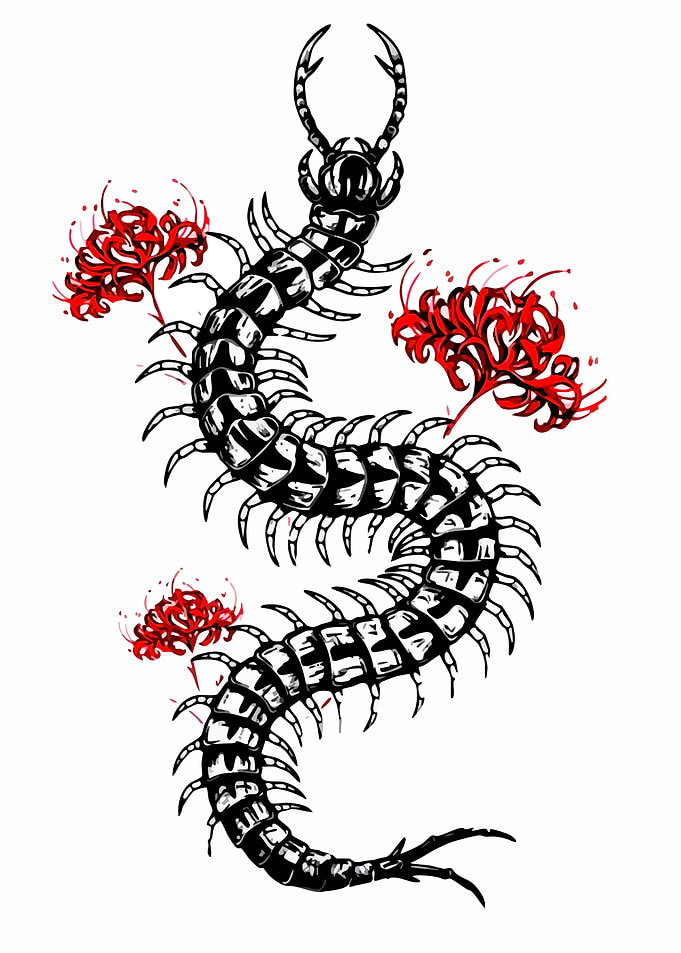 Centipede and Red Spider Lilies