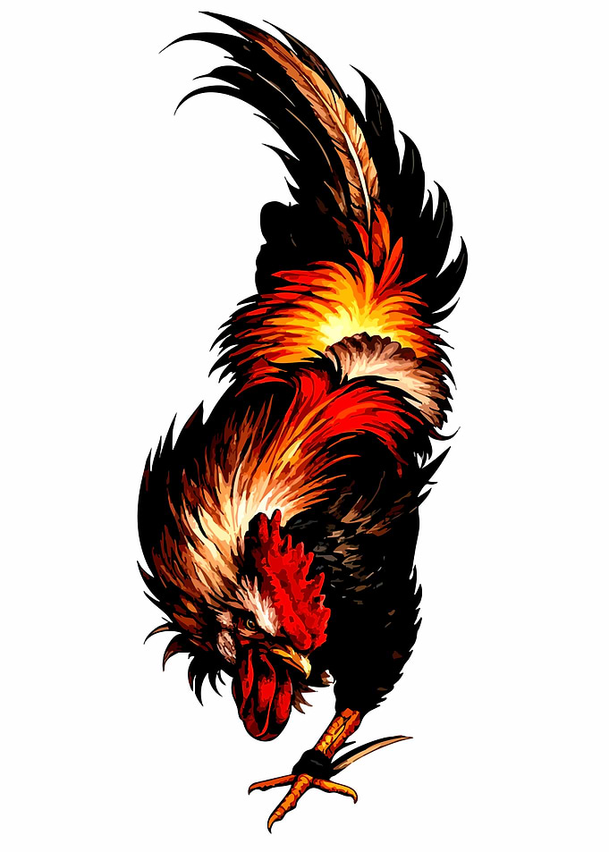 Rooster with Fiery Plumage