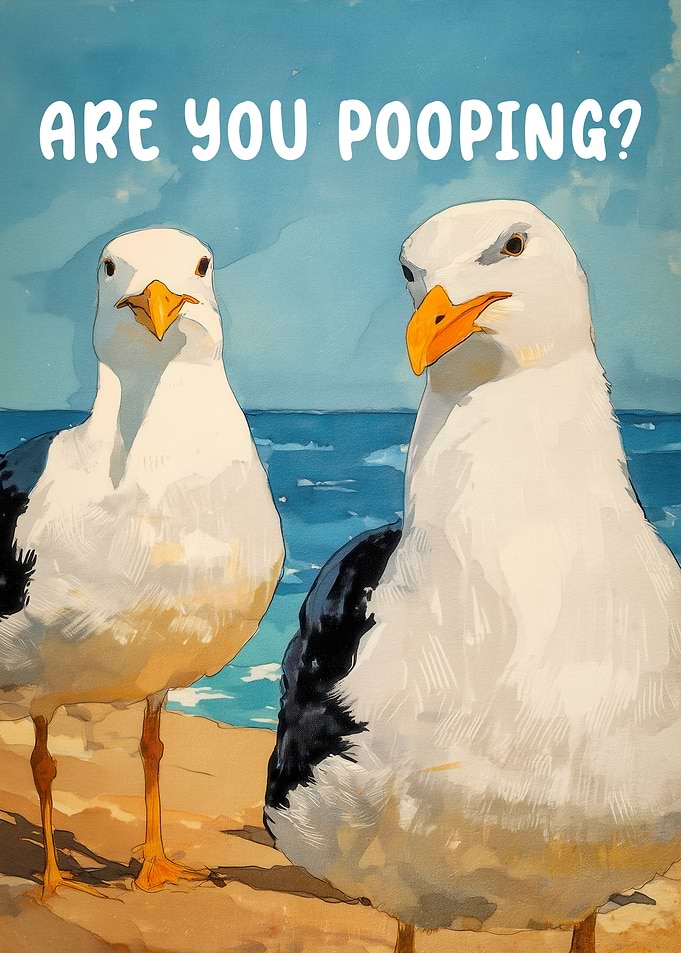 Seagulls Are You Pooping?