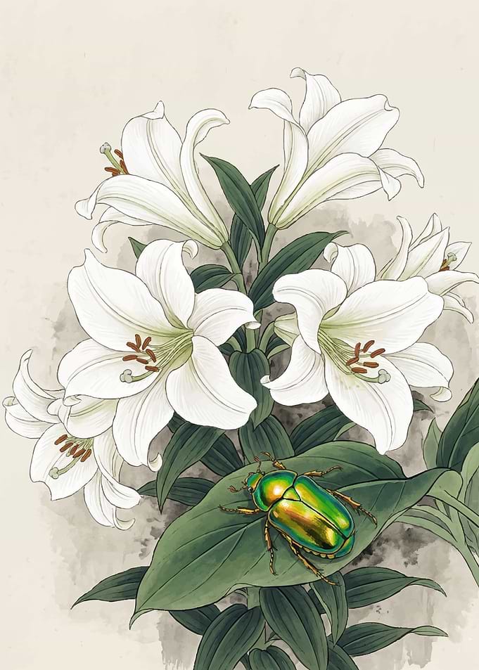 White Lilies with Green Beetle