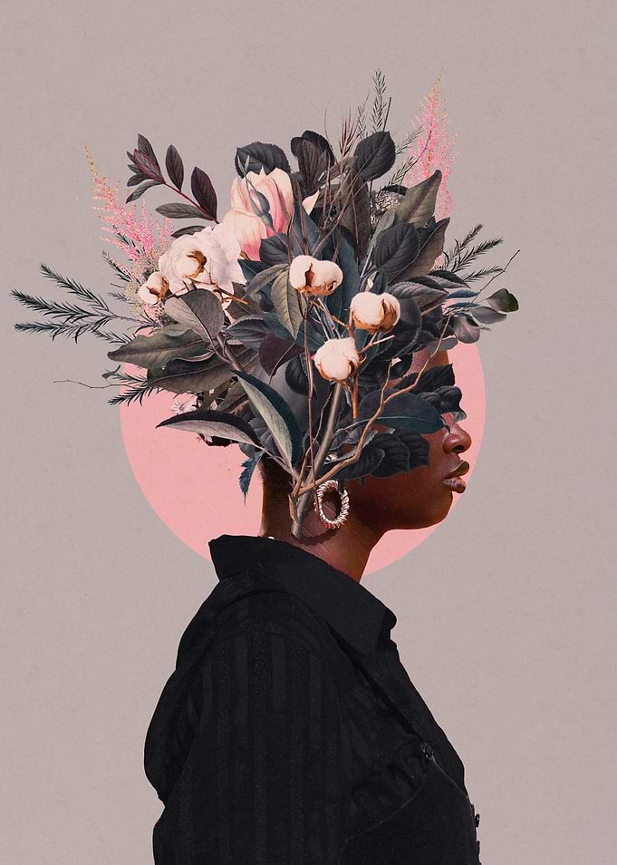 In a dusty Pink dream