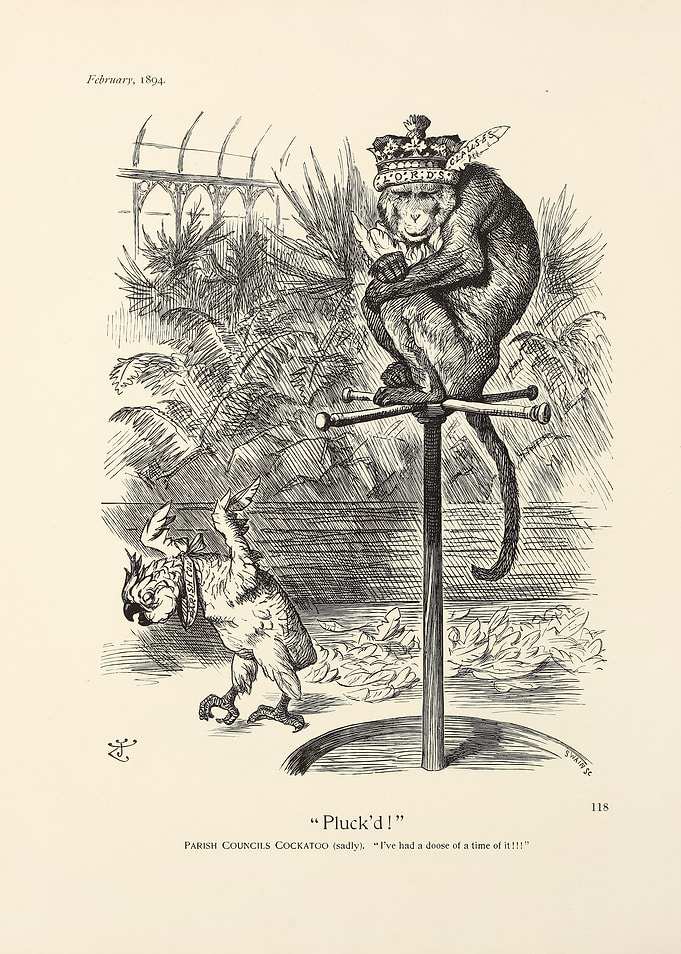 Monkey King and Cockatoo Cartoon