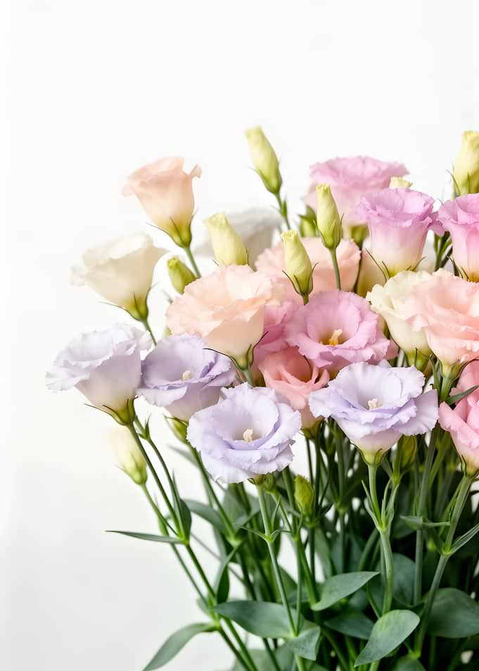 Pastel Eustoma Flower Bouquet