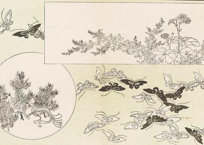 Japanese Butterflies and Floral Motifs