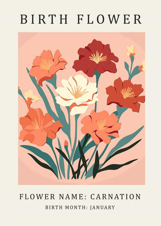 Carnation Birth Flower Poster