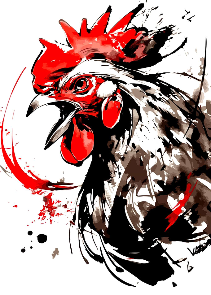 Rooster ink splash art