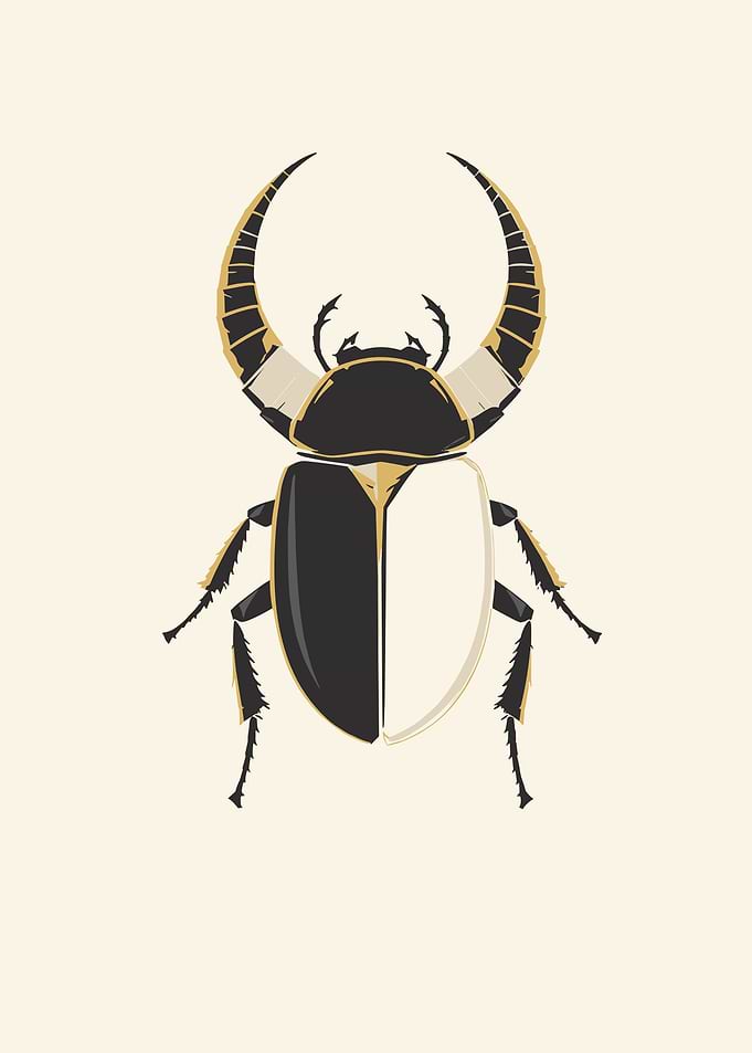 Stylized Scarab Beetle Illustration
