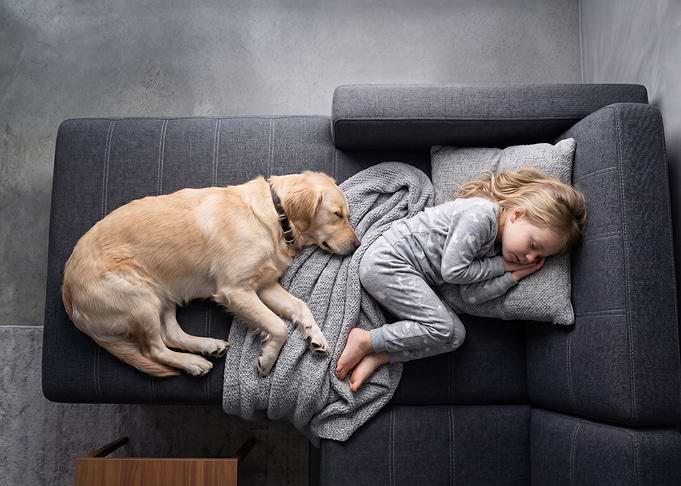 Child and dog sleeping on couch