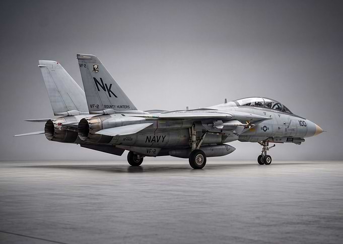 Grumman F-14 Tomcat Fighter Jet