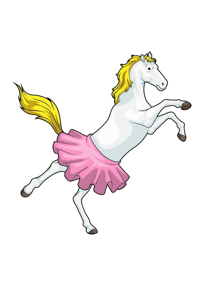 Horse Ballerina Ballet