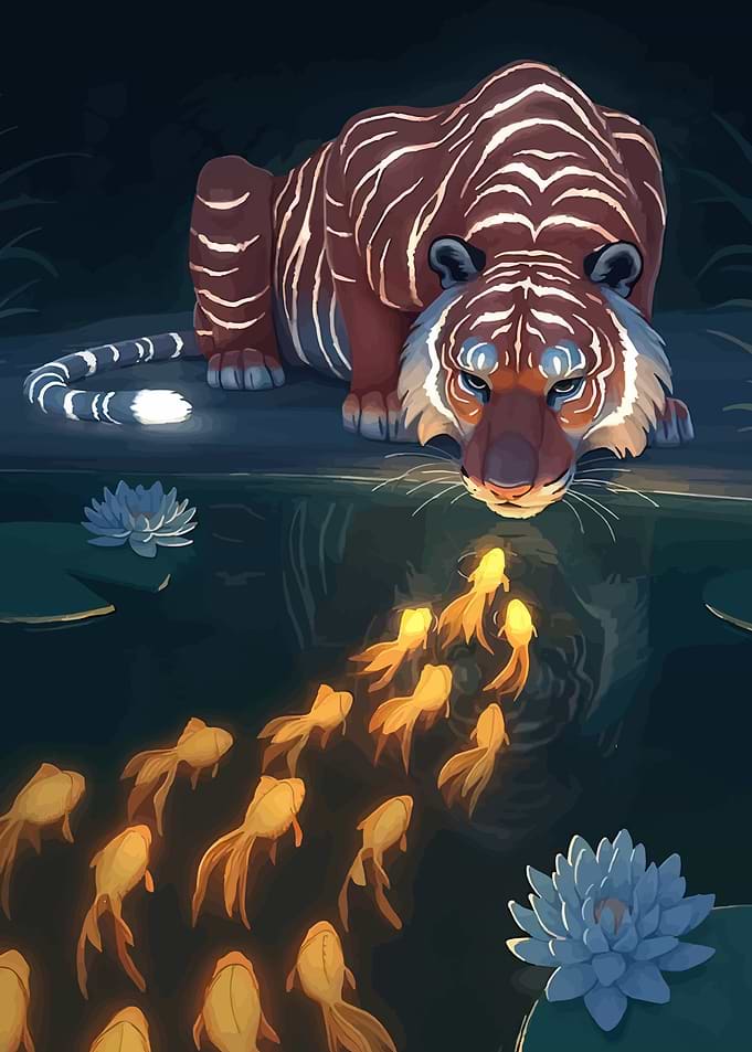 Tiger watches goldfish in pond