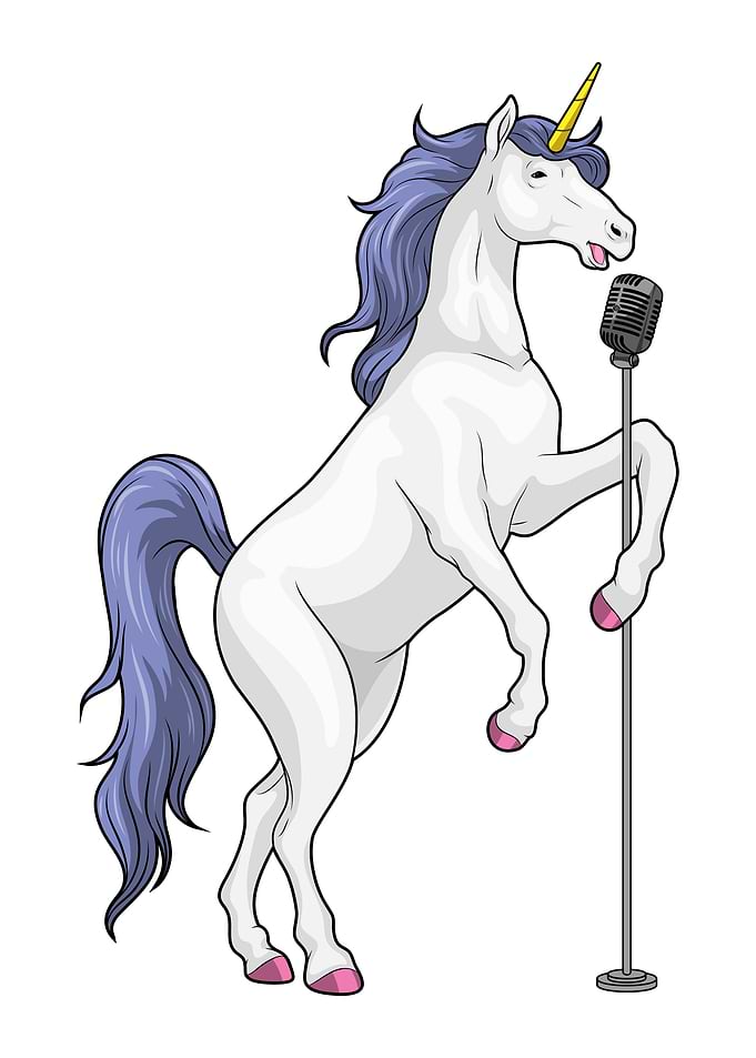 Unicorn Singer Microphone
