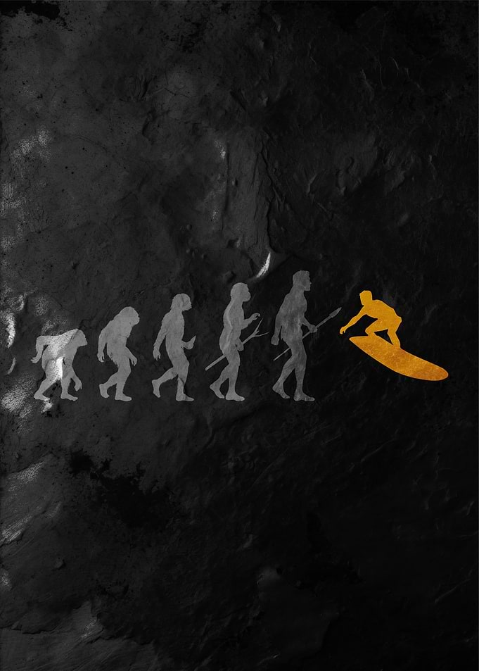 Evolution of Surfing