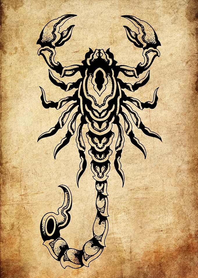 Scorpio Zodiac Tattoo Design