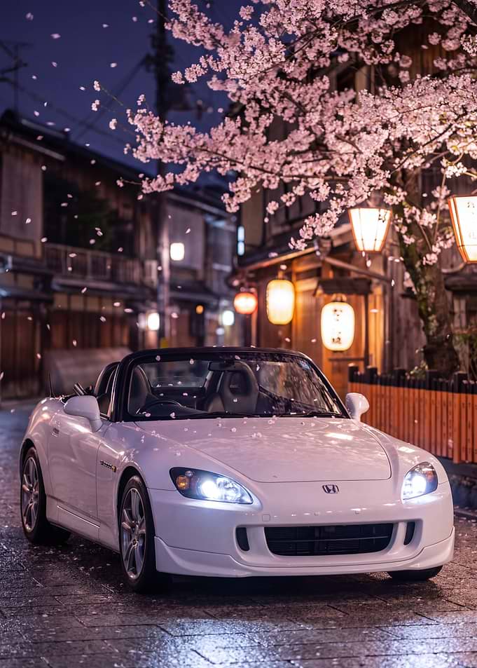White S2000 Car Under Cherry Blossoms