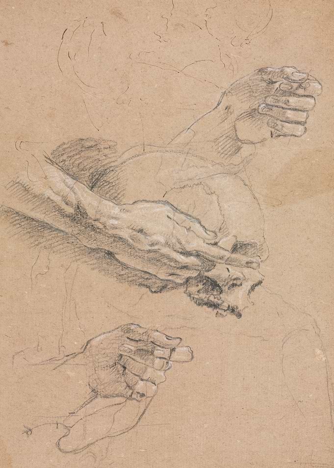 Study of Hands and Skull