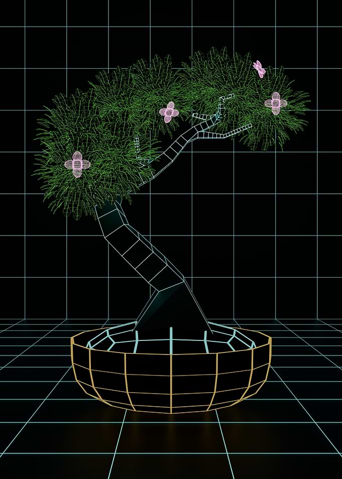 Low poly Wireframe Bonsai Tree with Flowers