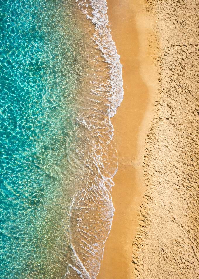 Aerial View of a Tropical Beach