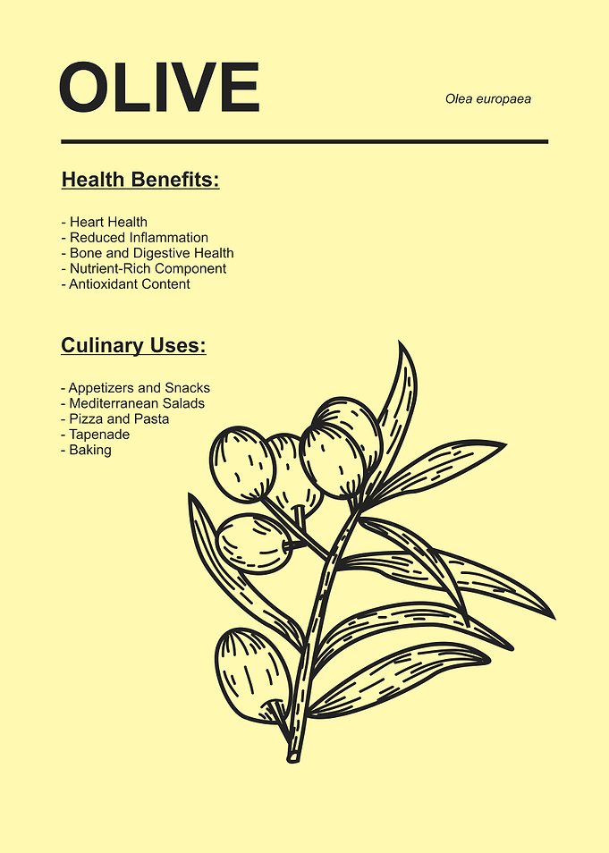 Olive Health and Culinary Uses
