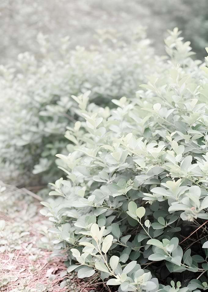 Soft Focus Green Foliage Background