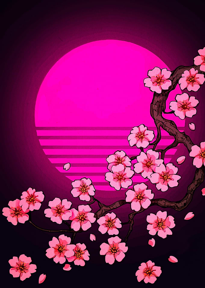 Cherry Blossoms with Pink Sun