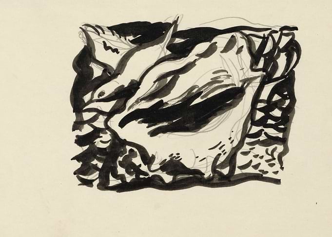 Abstract Ink Drawing of Organic Forms