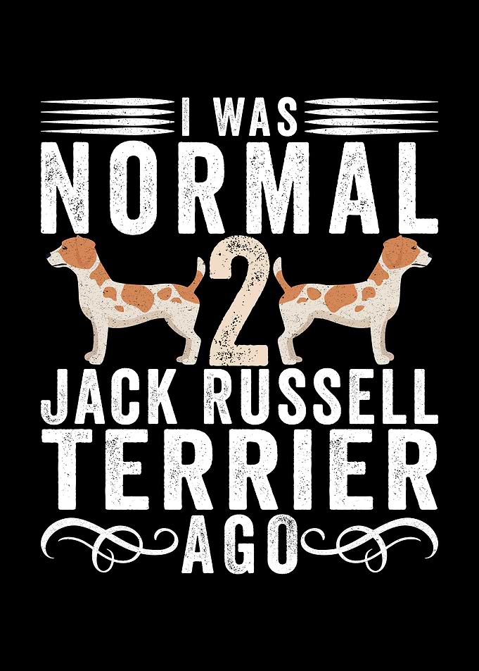 I Was Normal 2 Jack Russell Terriers Ago