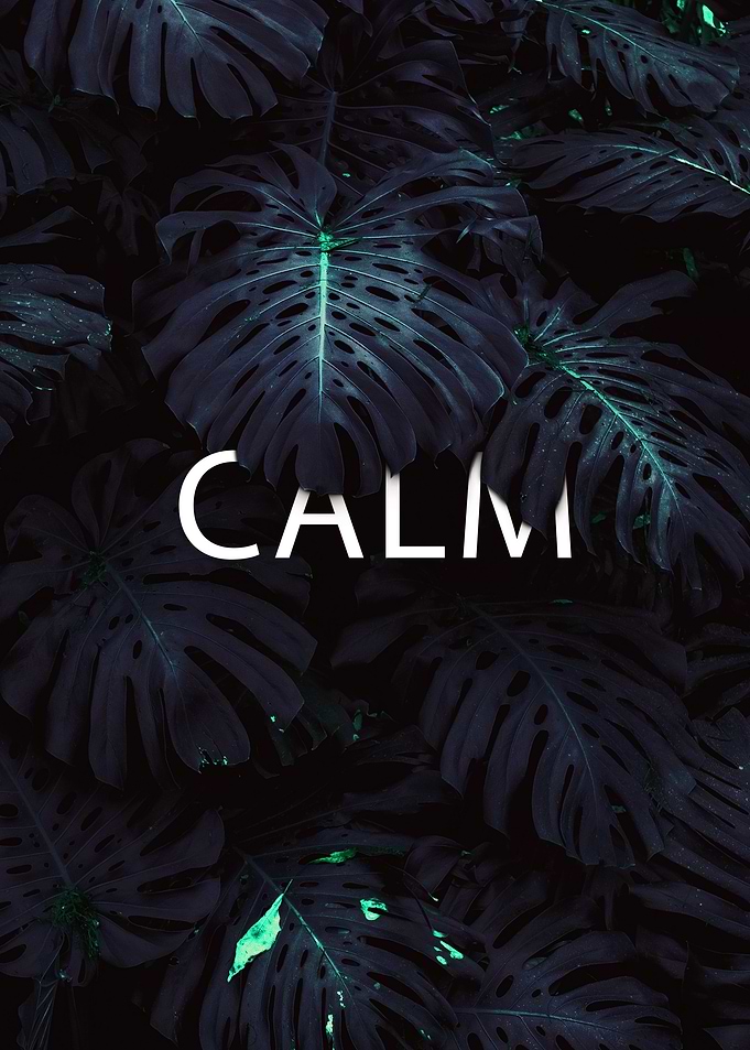 Calm text on dark tropical leaves