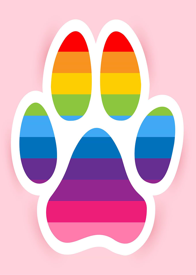 Rainbow Paw Print Sticker