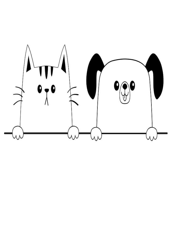 Cute Cat and Dog Peeking Over a Ledge