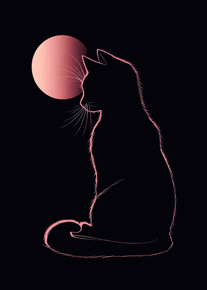 Cat Silhouette Under Pink Moon