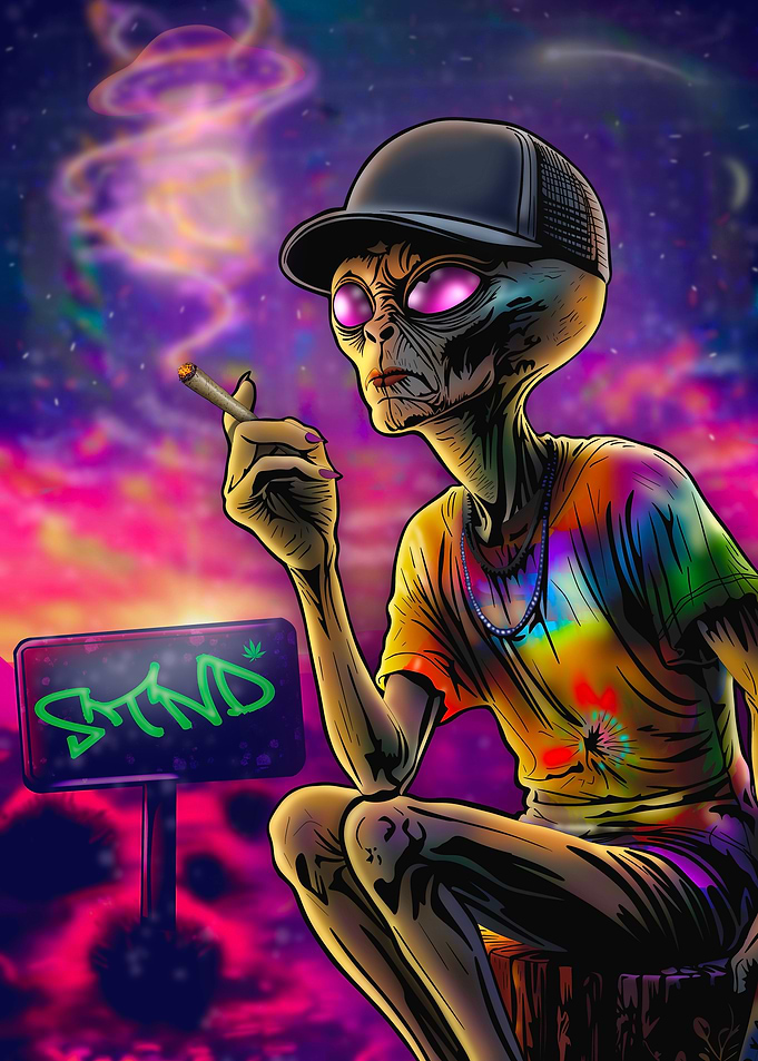 STND Alien New Mexico Desert Psychedelic Art – Trippy Stoner UFO Illustration