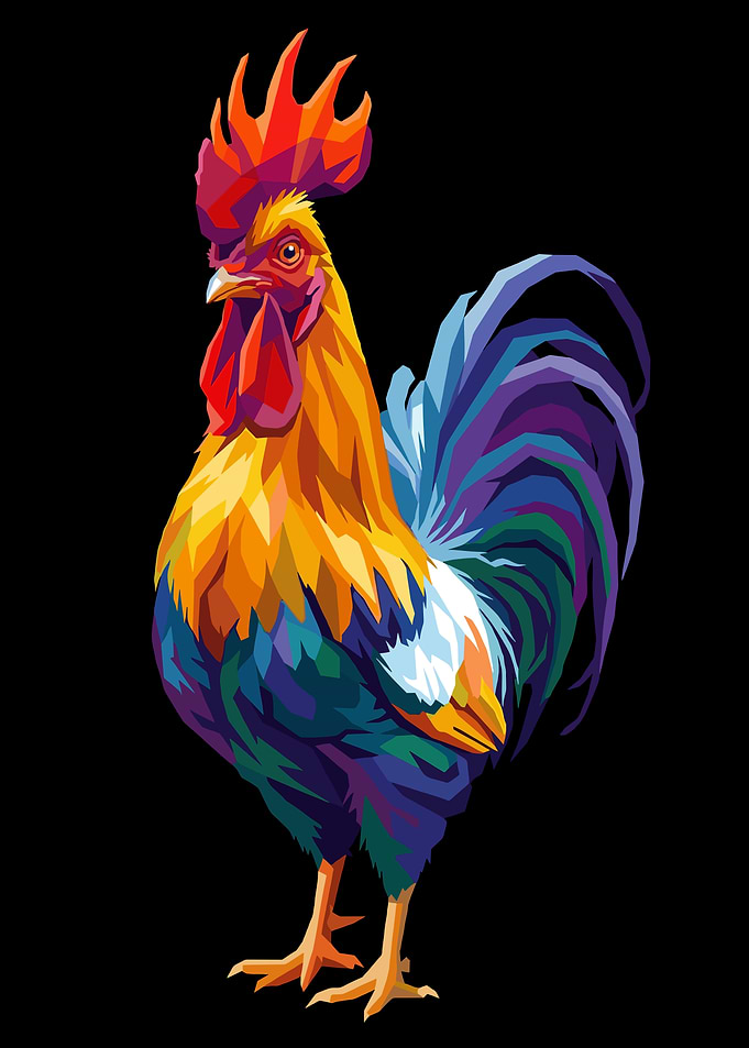 Colorful Rooster Illustration