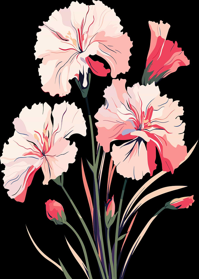 Pink Carnation Flowers with Buds
